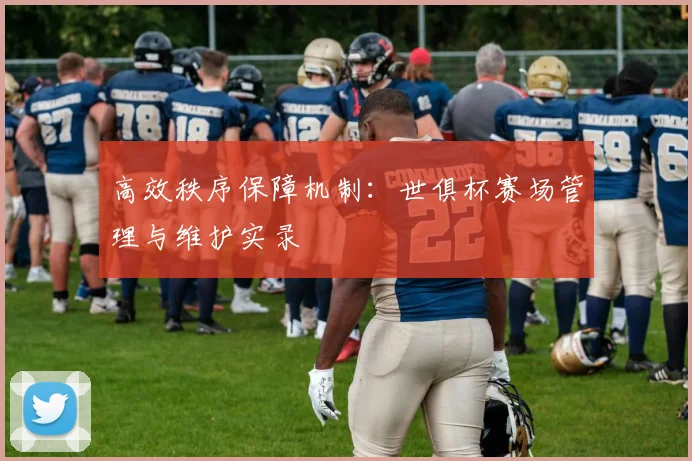 高效秩序保障机制：世俱杯赛场管理与维护实录