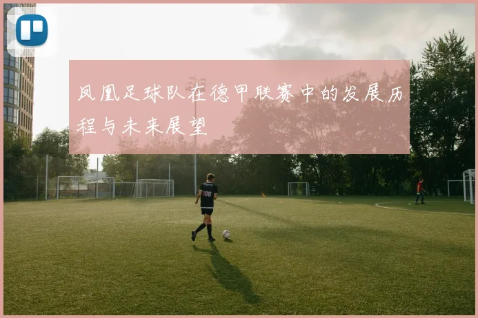 凤凰足球队在德甲联赛中的发展历程与未来展望